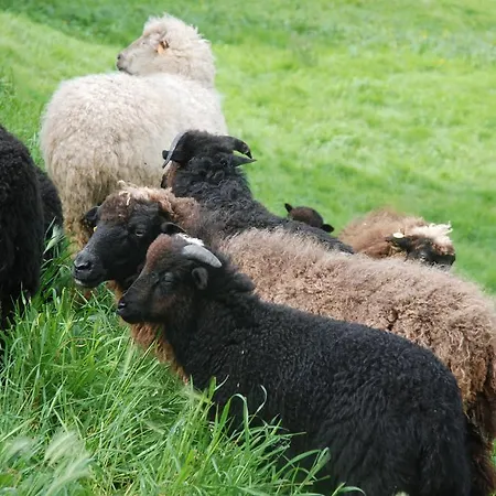 La Casona De Amaido * San Tirso de Abres